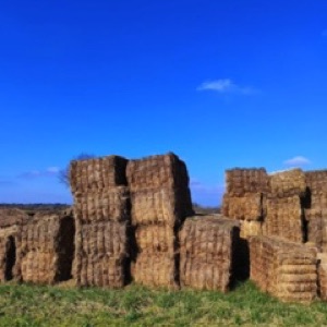 Loiret, suite ☀️